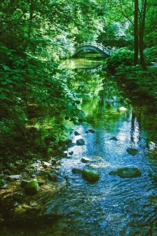 沪江开心词场