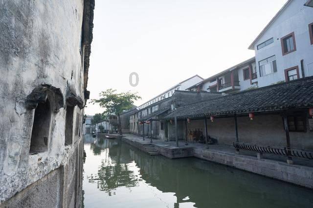动物帮帮忙保卫家园